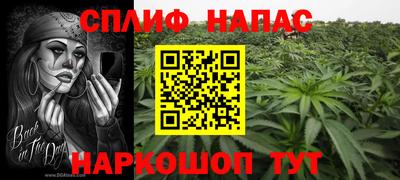 ПСИЛОЦИБИНОВЫЕ ГРИБЫ Гусь-Хрустальный