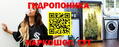 гашик Гусиноозёрск