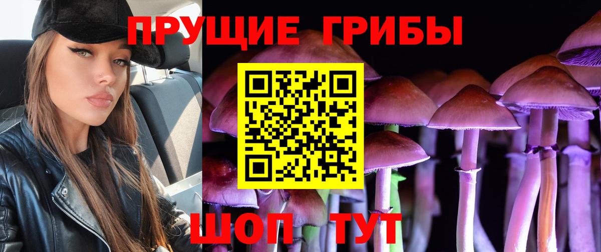 Можга  Псилоцибиновые грибы Psilocybe  купить закладку  Галлюциногенные грибы Psilocybine cubensis  Вход с VPN 