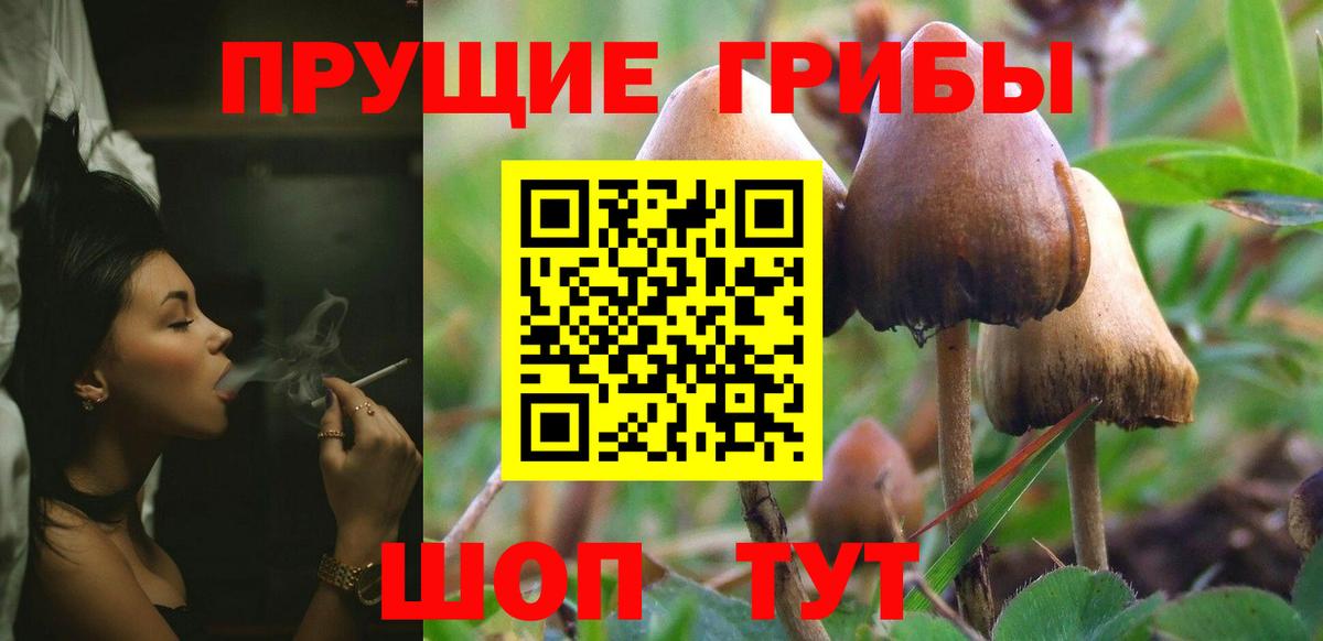 Галлюциногенные грибы MAGIC MUSHROOMS Можга